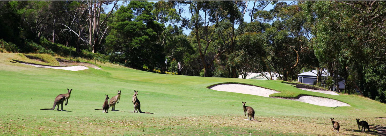 Tour to Australia
